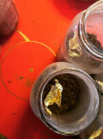 Tincture Oil Exalted Sol