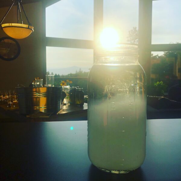 Water Cloud Water Cloud