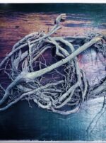 ss-DA devils shoestring for lord of the sacred eye