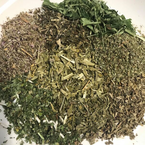 ss-DA regna pacificae ss-DA regna pacificae