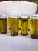 36932806_688742644801972_8197826944281083904_n