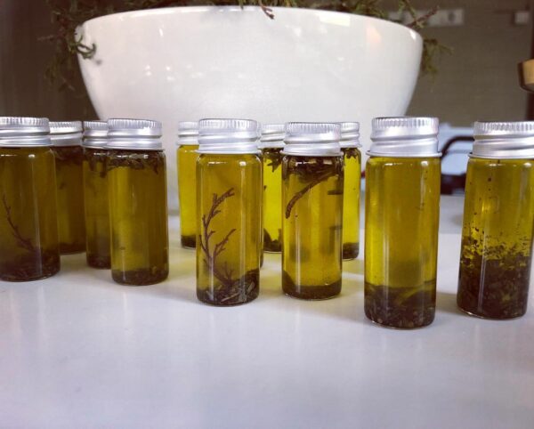 36932806_688742644801972_8197826944281083904_n 36932806_688742644801972_8197826944281083904_n