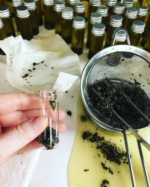 37028527_158880411575117_2353657810673205248_n 37028527_158880411575117_2353657810673205248_n