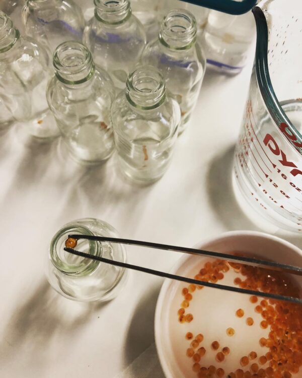 37693710_674003202934512_4412981499666628608_n 37693710_674003202934512_4412981499666628608_n