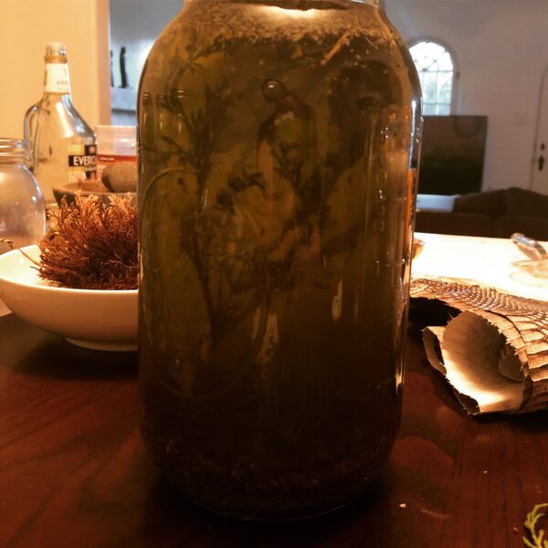 Anointing Oil of Asclepius Anointing Oil of Asclepius