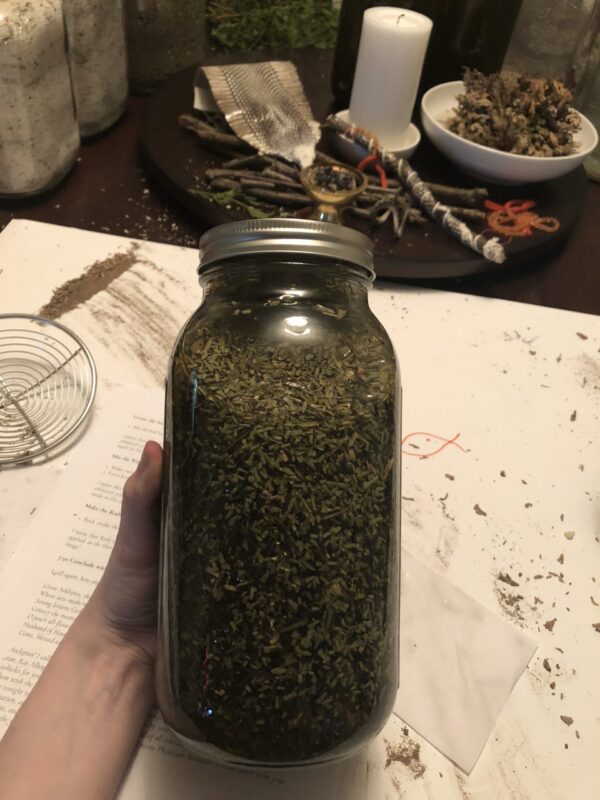 Making the Oil of Asclepius Making the Oil of Asclepius