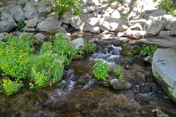 Sacramento-River-Headwaters Sacramento-River-Headwaters