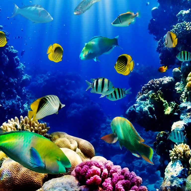 Q+A: How do I choose which series or offering is right for me? Do you offer consultations?