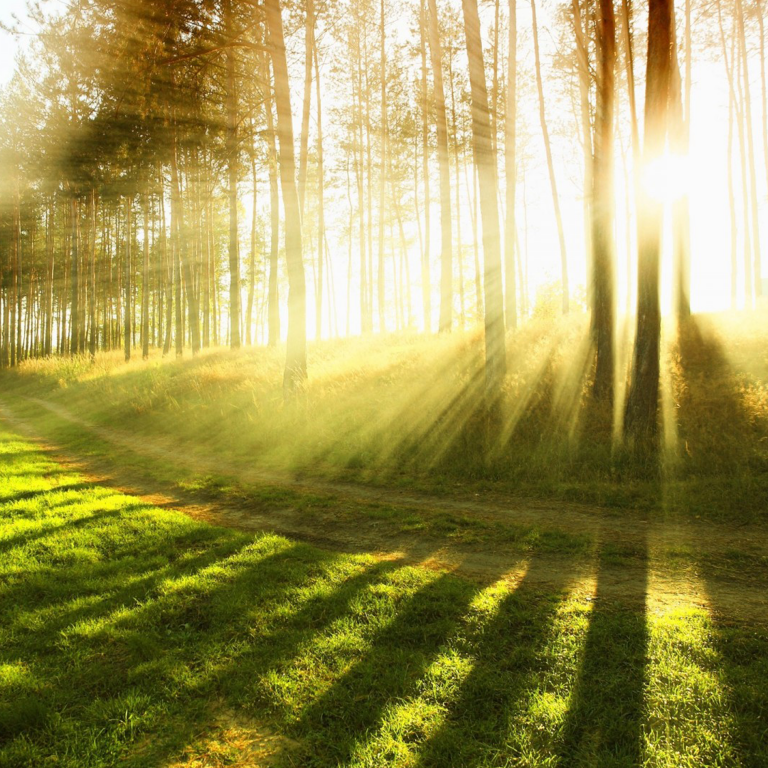 Mindstream: True vs. False Light, Being a Weirdo, and the 12th House in Modern Times