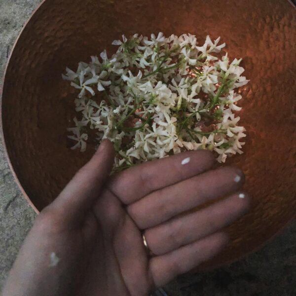 38202152_1912359932162954_1671625405024436224_n 38202152_1912359932162954_1671625405024436224_n