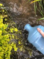 38851653_1015865565286648_230310753595293696_n