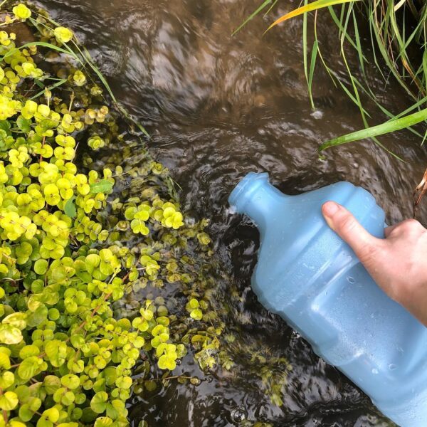 38851653_1015865565286648_230310753595293696_n 38851653_1015865565286648_230310753595293696_n