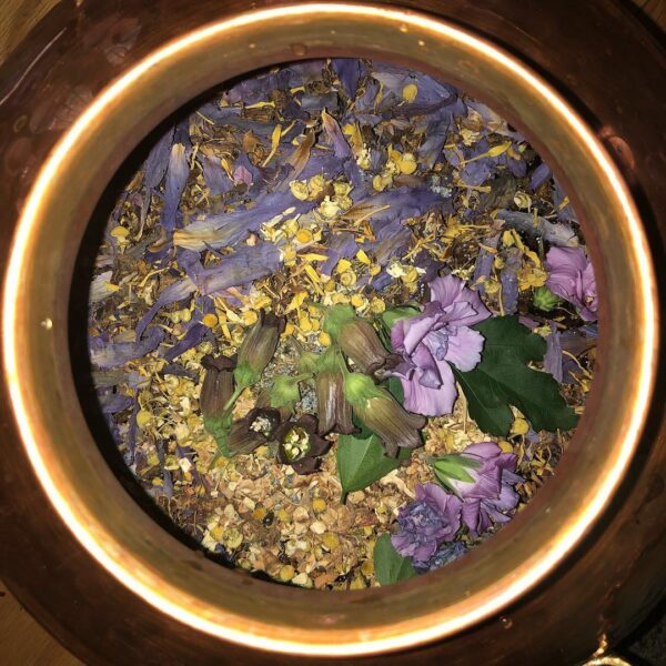 40369481_312153482700012_5024005069276708864_n 40369481_312153482700012_5024005069276708864_n