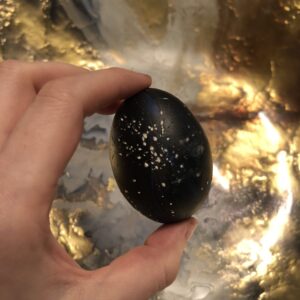 Eggs of the Starry Void
