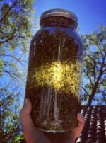 41707338_166485937607249_4024290470394516460_n