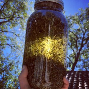 Exalted Mercury Cazimi Oil