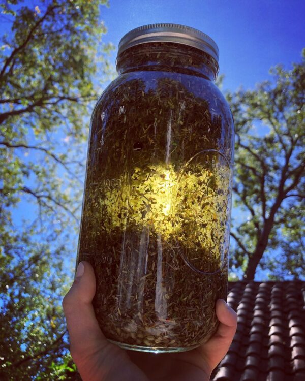 41707338_166485937607249_4024290470394516460_n