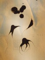 42622172_685988228424783_8888481777950268966_n