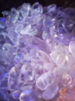 52967901_303119397063294_5567271827530579968_n