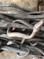 52983631_352855335441507_2684129696987217920_n