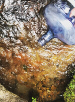 53051100_2002040626767917_8798492849312962948_n