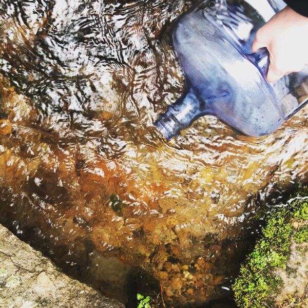 53051100_2002040626767917_8798492849312962948_n 53051100_2002040626767917_8798492849312962948_n