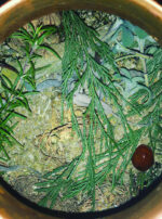 54230448_850977525242460_3223749676046555885_n