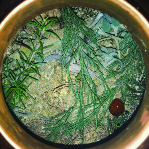 Water of Asclepius II