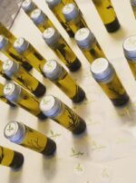 54511184_852193411780063_8180217449505177548_n