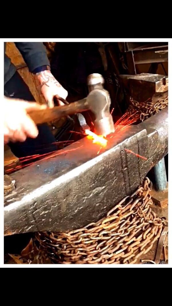 54730458_719669958428369_1352713917108846592_n 54730458_719669958428369_1352713917108846592_n