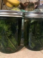 54521388_364405387499759_7984018953980608512_n