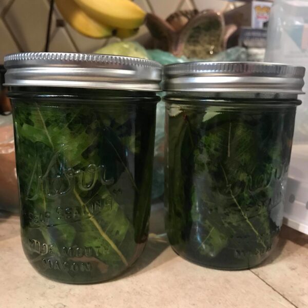 54521388_364405387499759_7984018953980608512_n 54521388_364405387499759_7984018953980608512_n