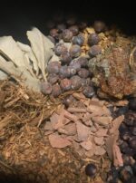 55726113_270057137213801_3085483369912336384_n