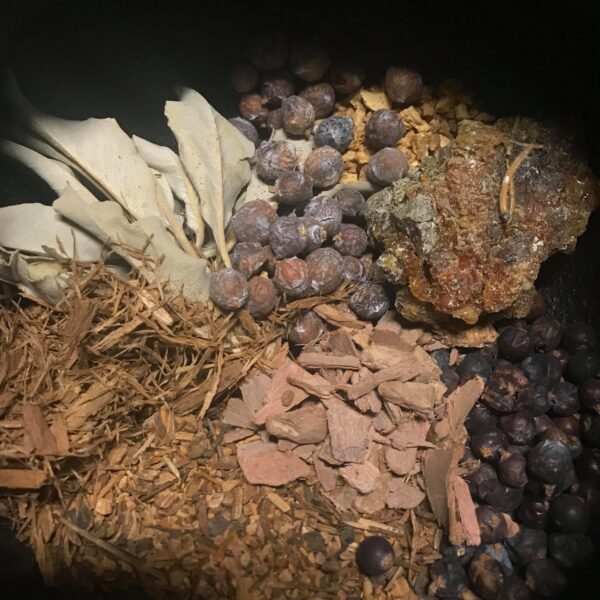 55726113_270057137213801_3085483369912336384_n 55726113_270057137213801_3085483369912336384_n