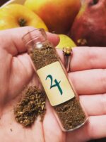 852F91C9-DB82-4700-BA9C-C1AA1ABF8805