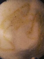 D82EF87A-86C7-4ADB-906E-C253E8EA4F46