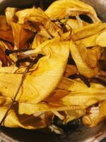 E1624EAD-356C-4D4A-81DF-1261633D62B3