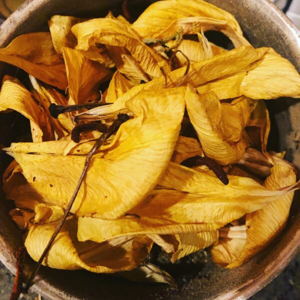 E1624EAD-356C-4D4A-81DF-1261633D62B3 E1624EAD-356C-4D4A-81DF-1261633D62B3