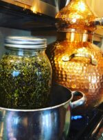 107D54D1-4BFF-4514-B313-5F805802C580