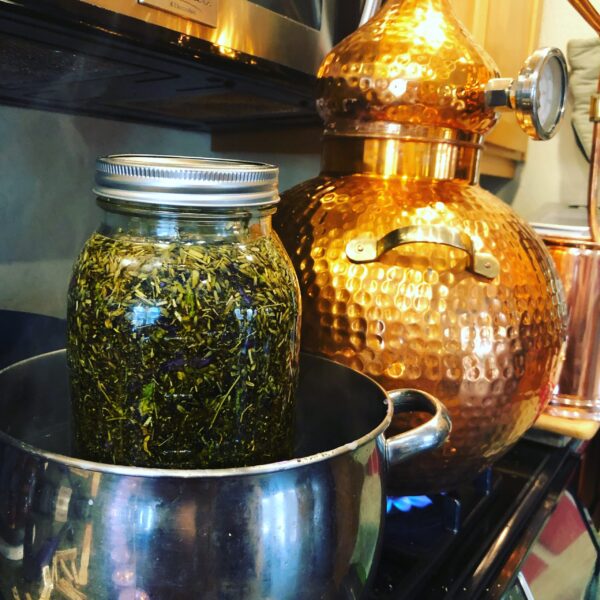 107D54D1-4BFF-4514-B313-5F805802C580 107D54D1-4BFF-4514-B313-5F805802C580