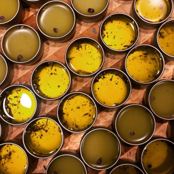 59306031_10161601759120257_7461348608315490304_o 59306031_10161601759120257_7461348608315490304_o