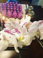 6EDE14D9-C2F4-4EDC-B281-83B640296294