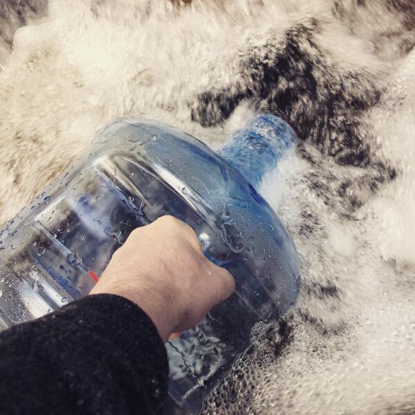 Austin Collecting Water Austin Collecting Water