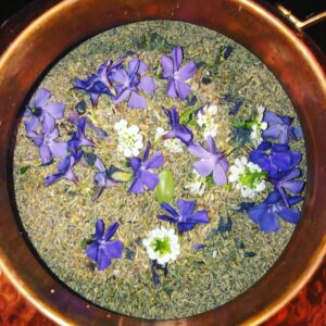 Exalted Venus Water I