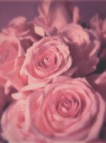 64727458_860921924306294_6442487000250449920_n