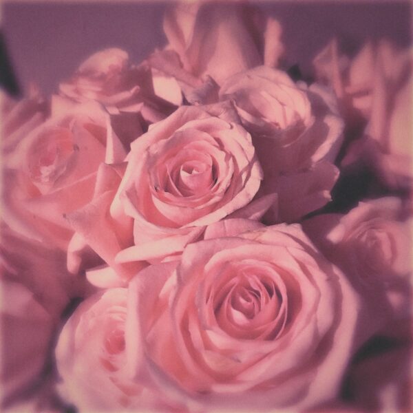 64727458_860921924306294_6442487000250449920_n 64727458_860921924306294_6442487000250449920_n