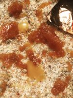 Bath Salts Royal Jelly