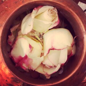 Venus in Taurus Rose Water