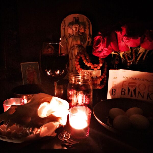 69753260_511616956271354_6973902861402898432_n 69753260_511616956271354_6973902861402898432_n