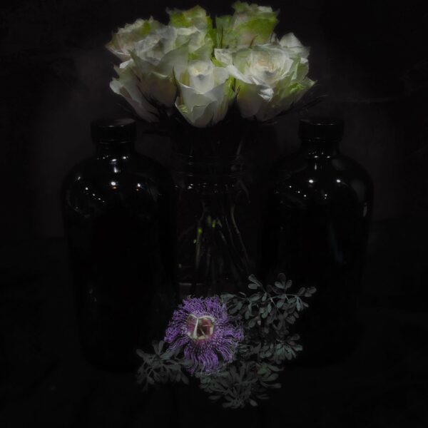 69835571_482083779298733_3045977762507522048_n 69835571_482083779298733_3045977762507522048_n